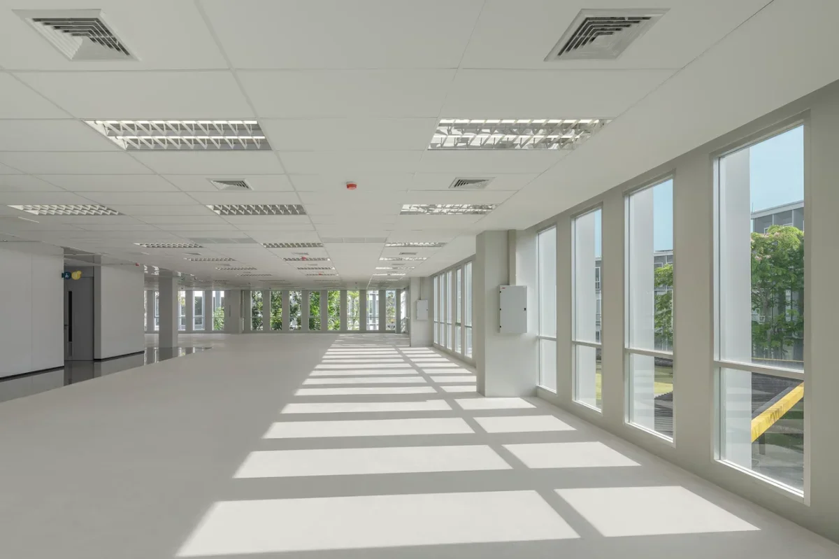 Summer Lasalle